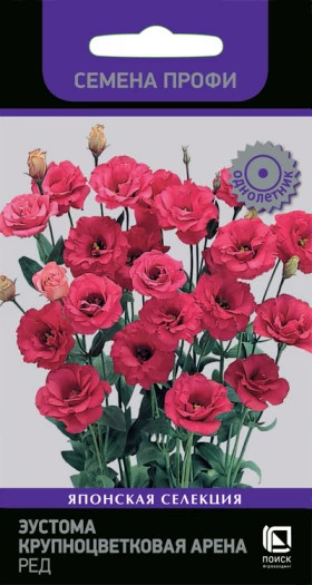 Арена ред Ц(Поиск)