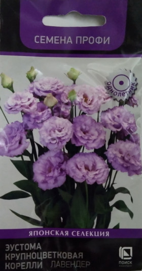 Корелли лавендер Ц(Поиск)