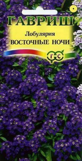 Восточные ночи Ц(Г)