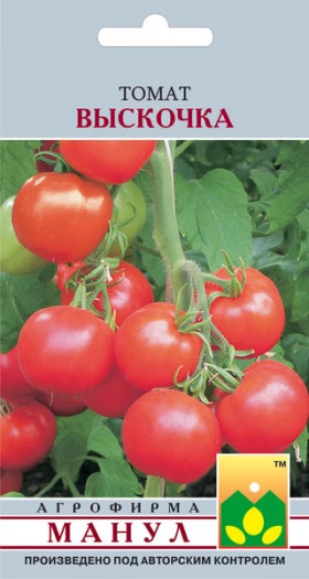 Выскочка Манул