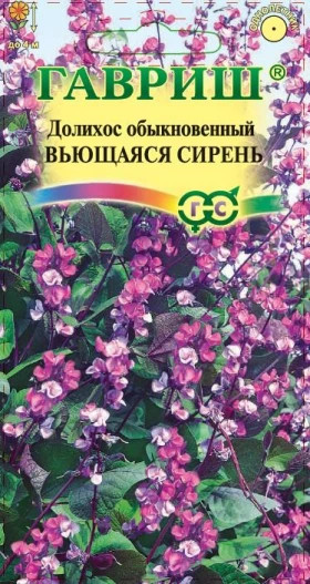 Вьющаяся сирень Ц(Г) долихос