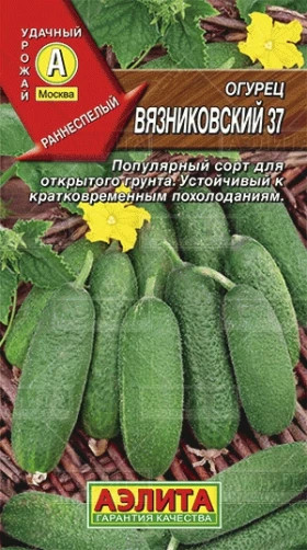 Вязниковский-37 Ц(А)