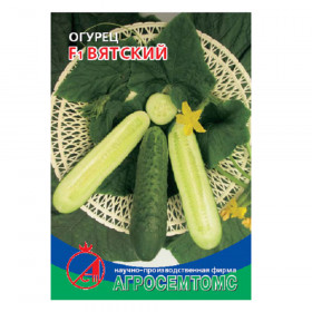 Вятский Киров