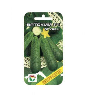 Вятский СС (11546                    )