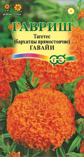 Гавайи Ц(Г)