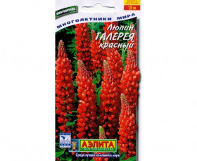 Галерея красный Ц(А)