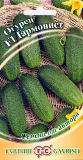 Гармонист 10шт.Ц(Г)