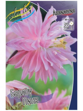 Барлоу Пинк 3шт