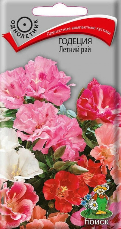 Летний рай Ц(Поиск)