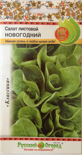 Новогодний лист. Ц(Н)