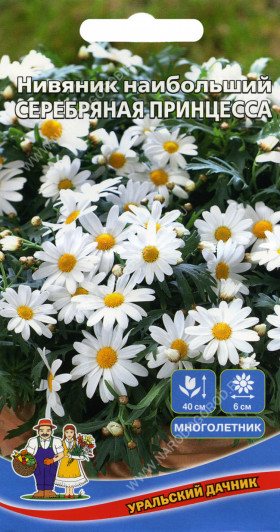 Серебряная принцесса Ц(УД)
