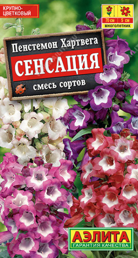 Сенсация смесь Ц(А) (8032                     )