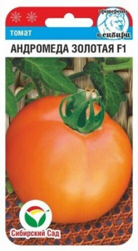 Андромеда Золотая СС