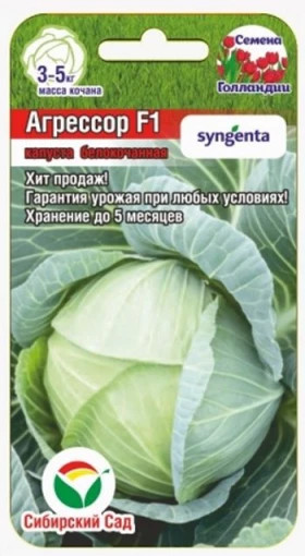 Агрессор СС