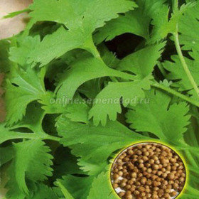 Бородинский (1уп-25г ) Поиск