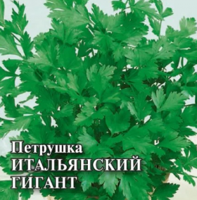 Итальянский гигант 25 гр Поиск