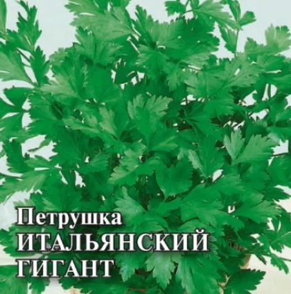 Итальянский гигант 25 гр Поиск
