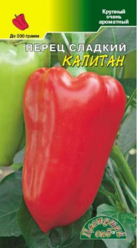 Капитан/Цветущий Сад