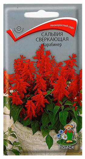 Карабинер сверкающая Ц(Поиск)