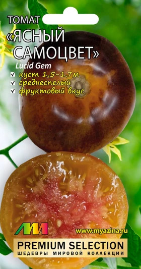 Ясный самоцвет /Мязина