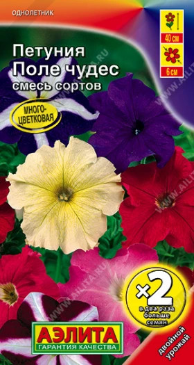 Поле чудес Ц(А)*2