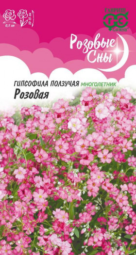 Розовая ползучая Ц(Г)