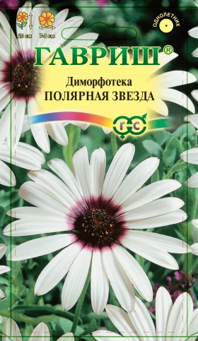 Полярная звезда Ц(Г)