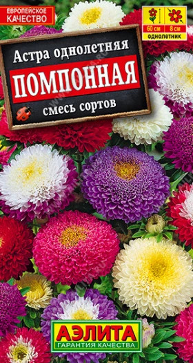 Помпонная смесь Ц(А) астра