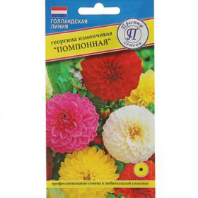 Помпонная смесь Ц(П)