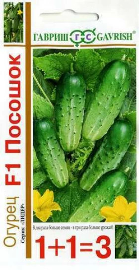 Посошок 1+1 Ц(Г)