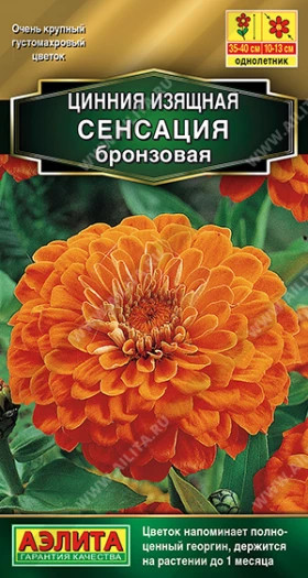 Сенсация бронзовая Ц(А)