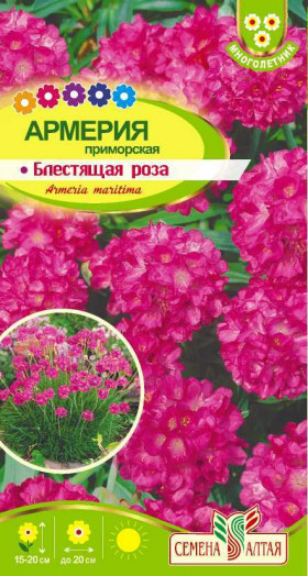 Блестящая роза приморская 0,03гр Ц(Алт)
