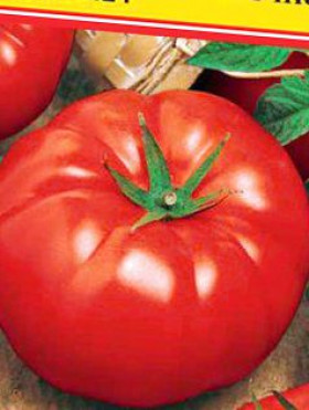 Томат Биг Биф Каприс 20*5 шт.