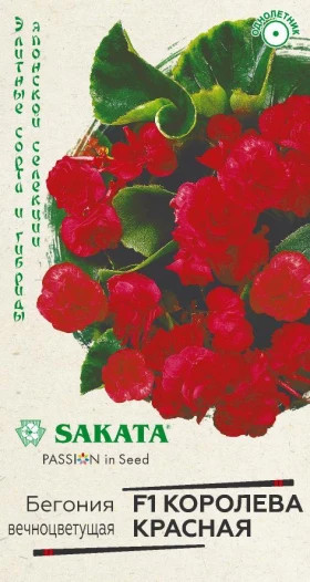 Королева красная Ц(Г)