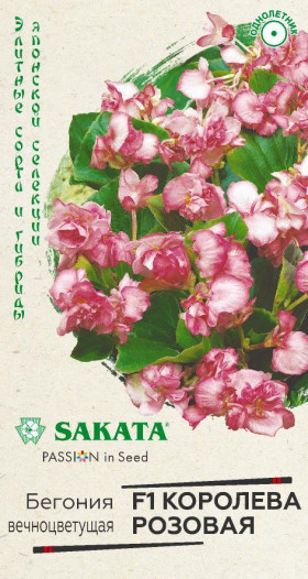 Королева розовая Ц(Г)