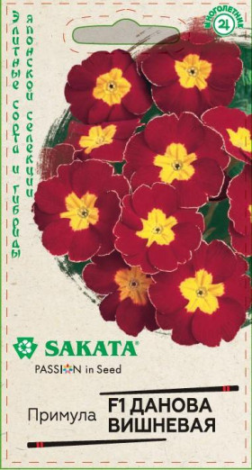 Данова вишневая Ц(Г)