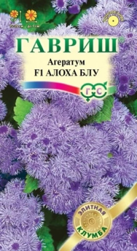 Алоха Блу Ц(Г)