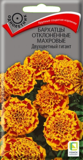 Двухцветный гигант откл. махр. 0,4 гр.Ц(Поиск)