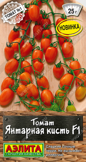 Янтарная кисть Ц(А)