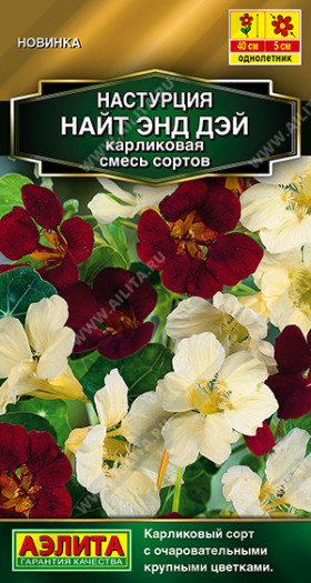Найт энд дэй карликовая смесь Ц(А)