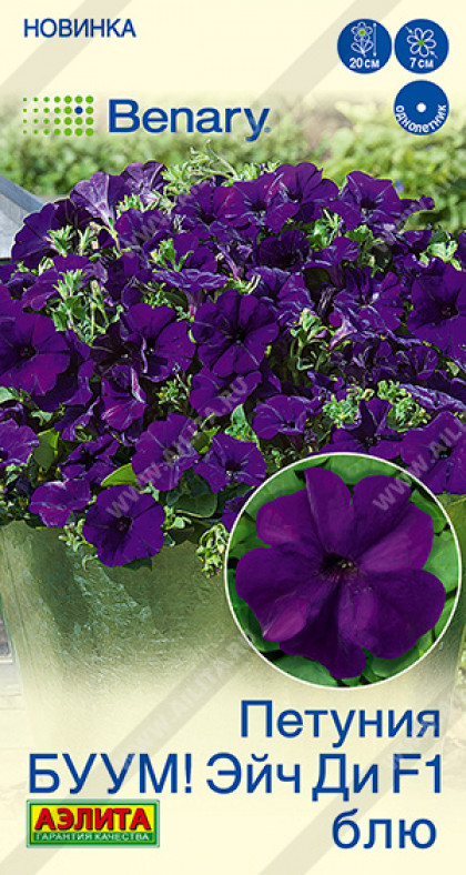 Буум Эйч ди Блю многоцветковая Ц(А)