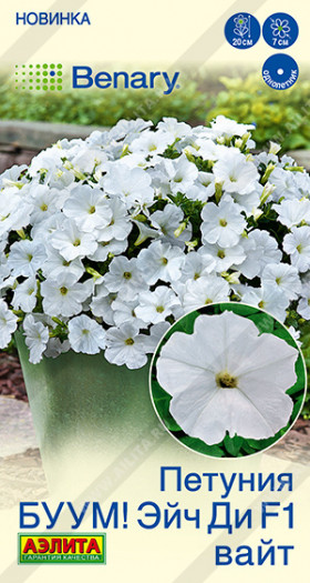 Буум Эйч ди Вайт многоцветковая Ц(А)