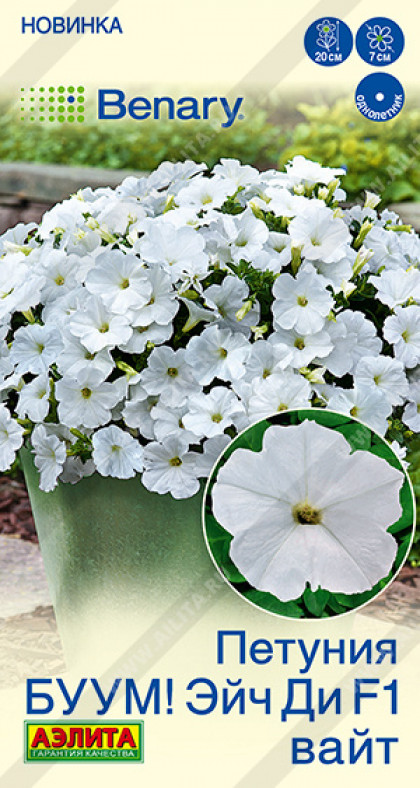 Буум Эйч ди Вайт многоцветковая Ц(А)