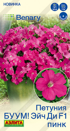 Буум Эйч ди Пинк многоцветковая Ц(А)