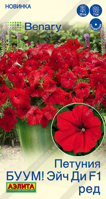 Буум Эйч ди Ред многоцветковая Ц(А)