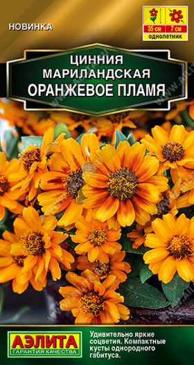 Мариландская Оранжевое пламя Ц(А)