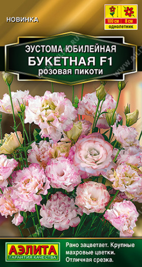 Юбилейная букетная махровая розовая пикоти Ц(А)