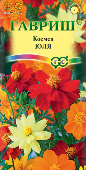 Юля карликовая Ц(Г)