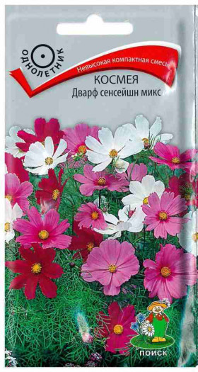 Дварф Сенсейшн Микс Ц(Поиск)