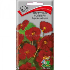 Коричневый блик Ц(Поиск)